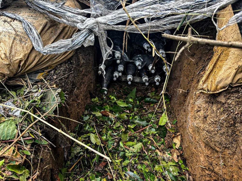 Golpe contundente al ELN en la región del Catatumbo imagen de la publicación