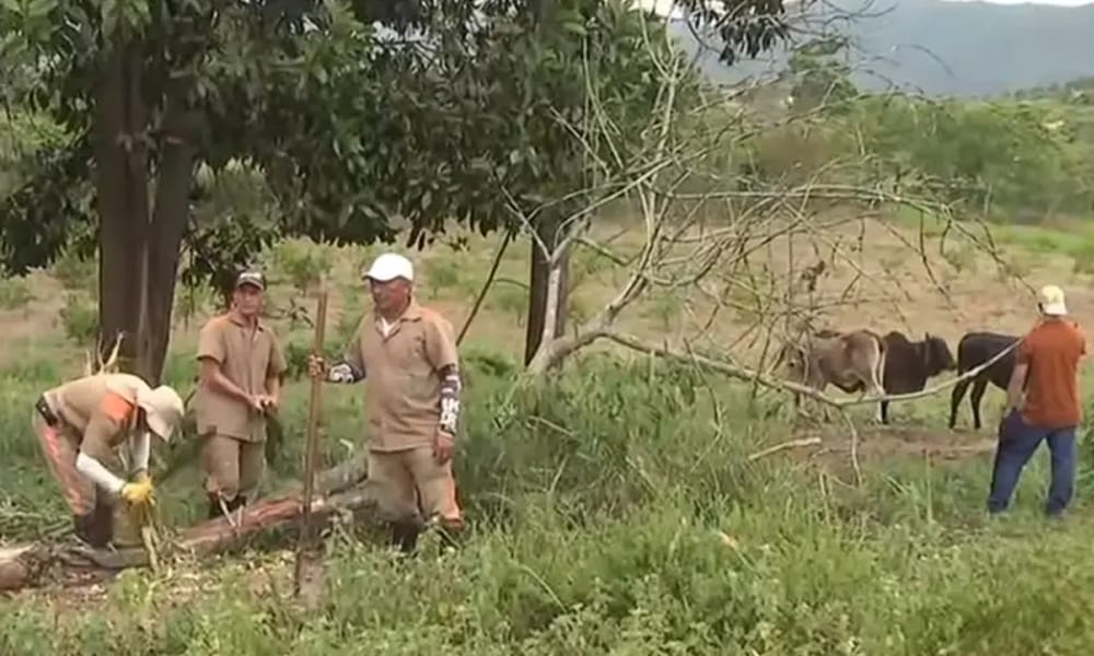 Programa de justicia restaurativa con trabajo organizado en Girón imagen de la publicación