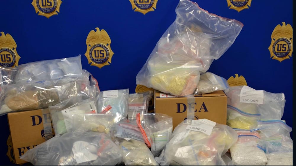 Incautan 41 kilos de fentanilo en Nueva York imagen de la publicación
