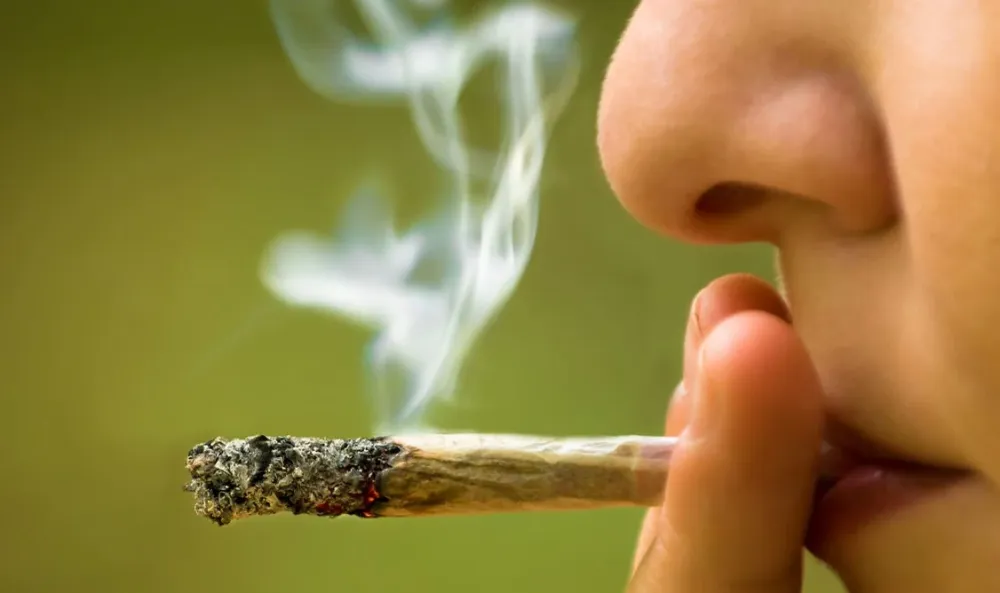 Estudio advierte que el consumo de cannabis en adolescentes se asocia a menor desarrollo cognitivo imagen de la publicación
