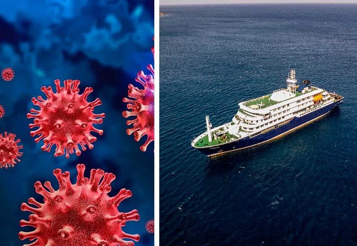 ¿Virus con 50% de letalidad? OMS confirma cepa Andes en crucero imagen de la publicación