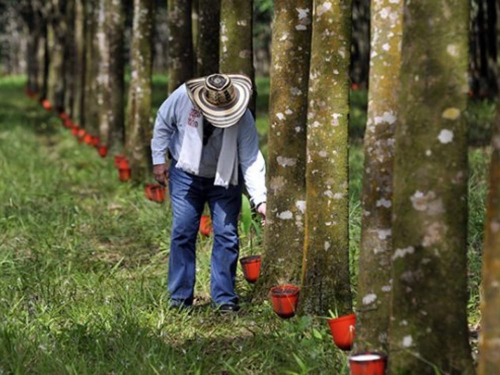 Agro Santander 360 tendrá  su presentación oficial el 8 de mayo en Cenfer imagen de la publicación