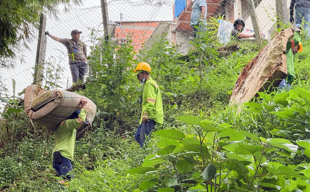 Limpieza del medioambiente para acicalar a Floridablanca imagen de la publicación