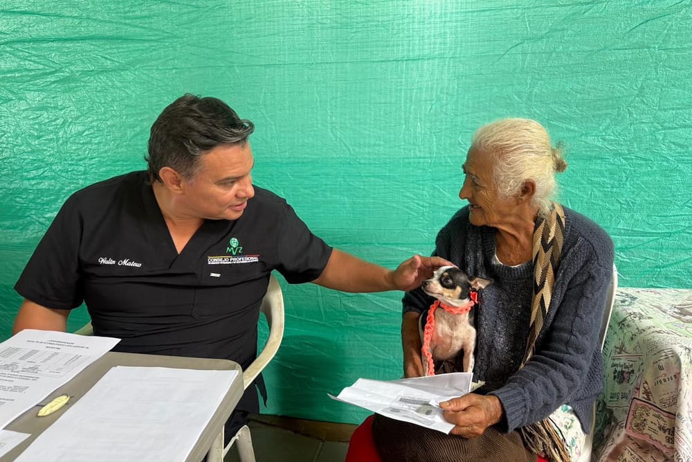 Crece población de felinos y caninos con atención especializada en Santander imagen de la publicación