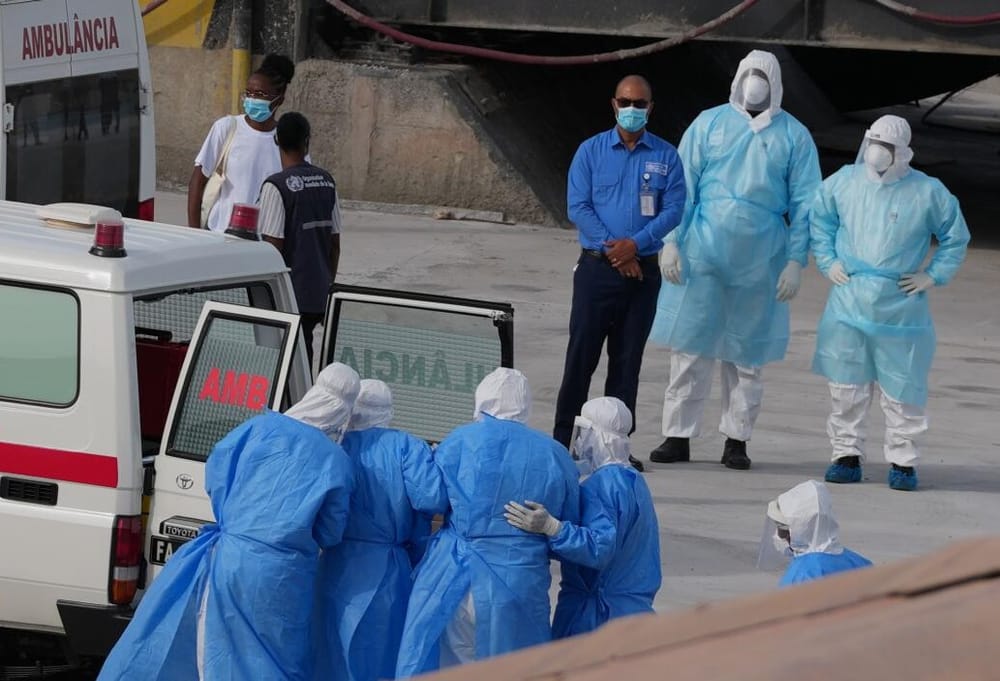 Mujer francesa con hantavirus en estado crítico imagen de la publicación