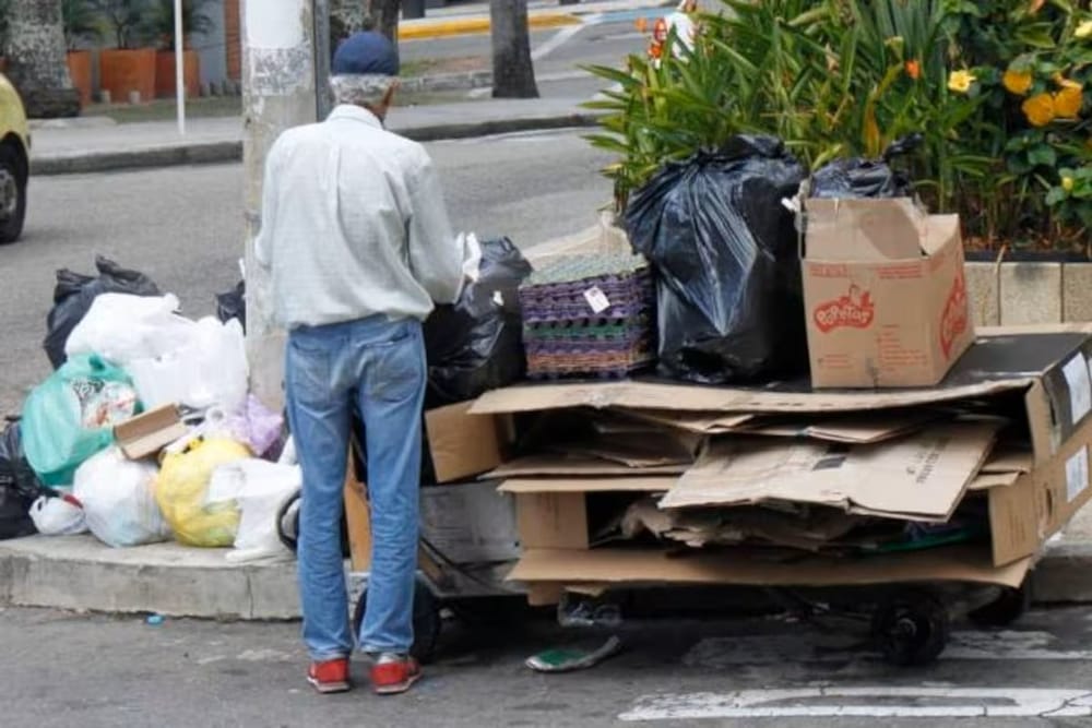Recicladores formalizados tiene directorio de contacto imagen de la publicación