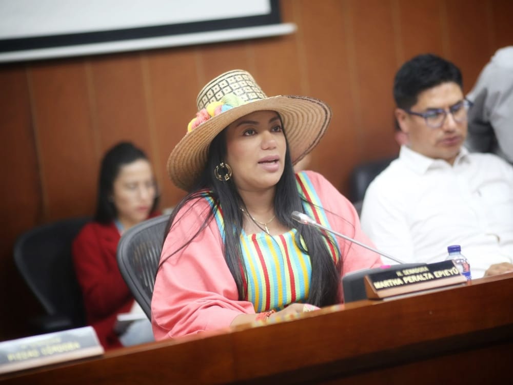 La senadora Martha Peralta a indagatoria imagen de la publicación