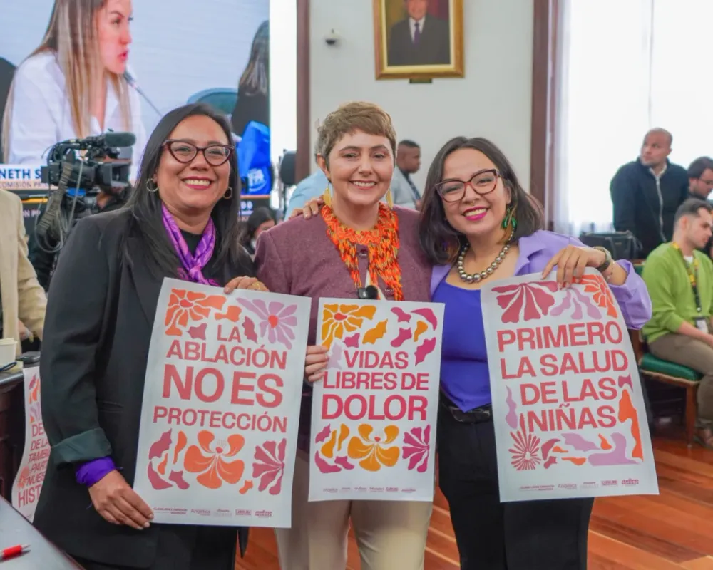 Lista prohibición de la mutilación genital femenina: ¿cómo van a hacer para que el objetivo de prevenir la tortura contra las niñas no se convierta en letra muerta? imagen de la publicación