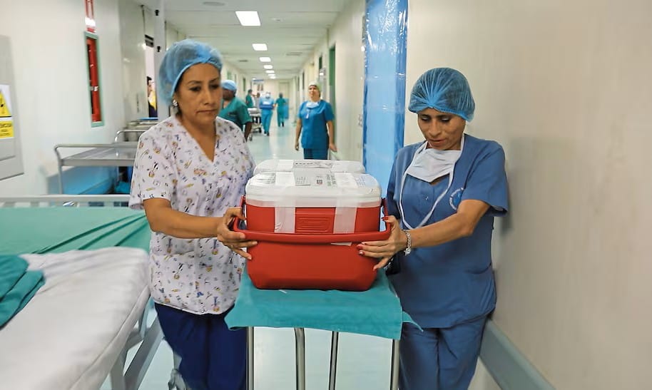 Santander coordina red de donantes de órganos imagen de la publicación