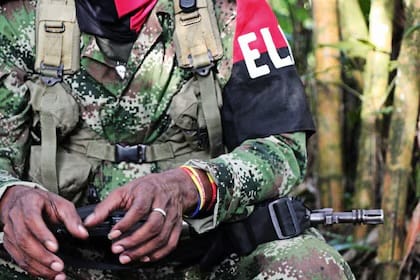 ELN liberó a 13 integrantes de las disidencias de las Farc retenidos en el Catatumbo imagen de la publicación