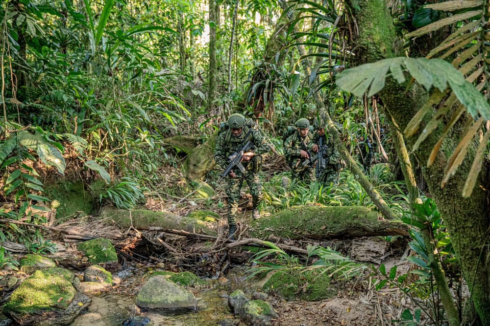 Tragedia en el Catatumbo: niño muere tras caída de explosivo lanzado desde un dron en medio de combates imagen de la publicación