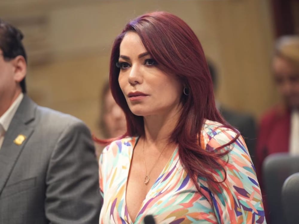 Congresista que suspendió a Petro enfrentará demanda por prevaricato imagen de la publicación