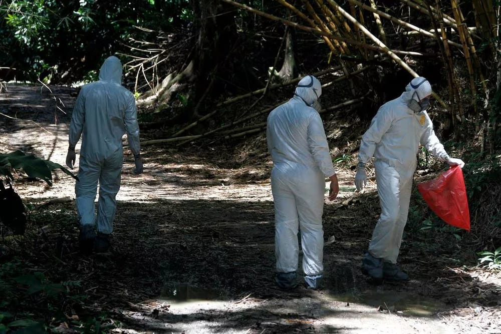 Hallan cuerpo en avanzado estado de descomposición en zona rural de Cúcuta imagen de la publicación
