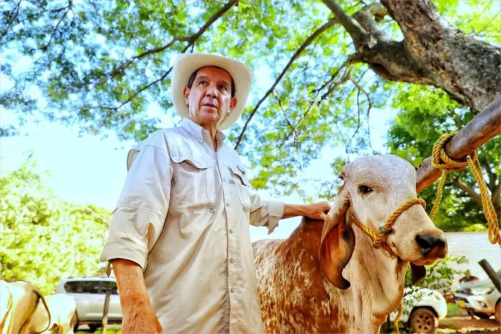 Fedegán se une a ofensiva contra el Decreto 0765 y exige al nuevo Gobierno derogarlo por presunto riesgo a la propiedad privada imagen de la publicación