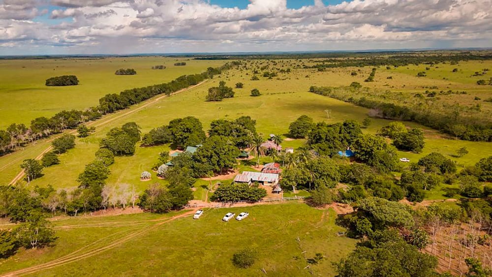 555 fincas vinculadas a la mafia pasaron a manos campesinas en los últimos 4 años imagen de la publicación