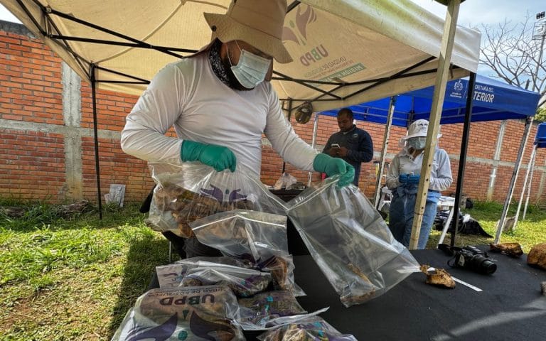 Recuperan 16 cuerpos de personas reportadas como desaparecidas en el cementerio municipal de Bucaramanga imagen de la publicación