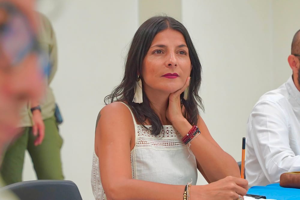 "No tenemos nada que ocultar": MinAmbiente defiende encuentro con el Comité de Santurbán imagen de la publicación