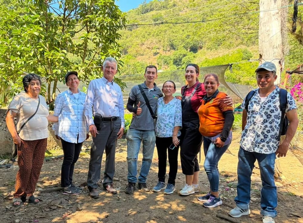 Estrategia cacaotera para familias rurales en San Gil imagen de la publicación