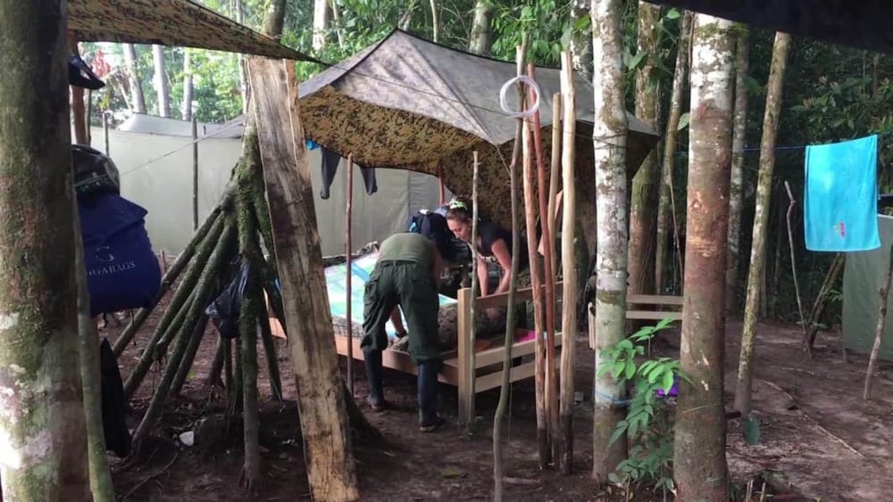 Ante la JEP jefes de las extintas Farc están confesando sus delitos relacionados con violencia sexual y tortura ¿Lo contarán todo? imagen de la publicación