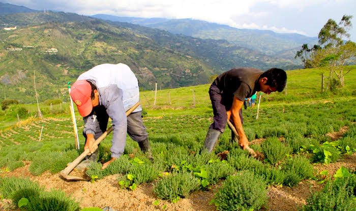 Denuncian patrón de amenazas y torturas contra beneficiarios de la Reforma Agraria imagen de la publicación