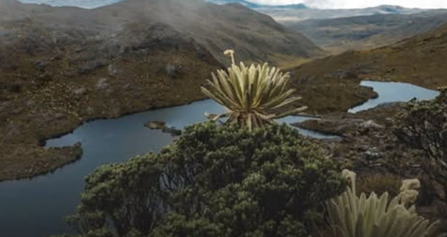 MinAmbiente propone delimitación progresiva del Páramo Santurbán imagen de la publicación