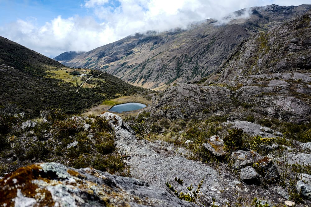 El 'enemigo invisible' tras minería ilegal en el páramo de Santurbán imagen de la publicación