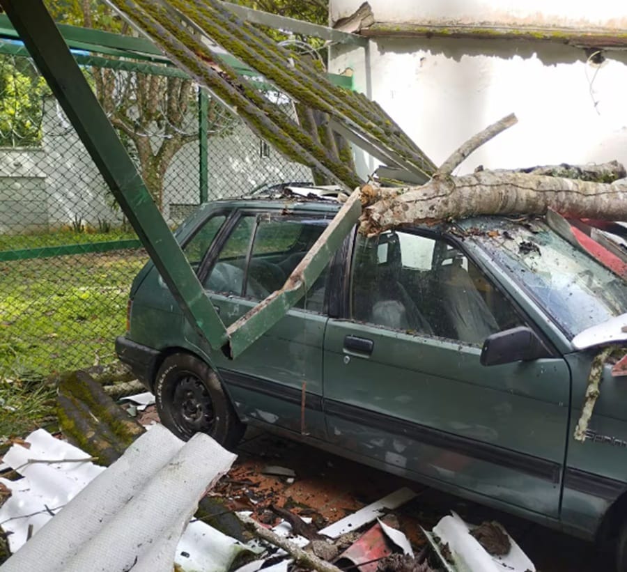 Derrumbe de bambúes y plantas ocasiona graves daños materiales imagen de la publicación