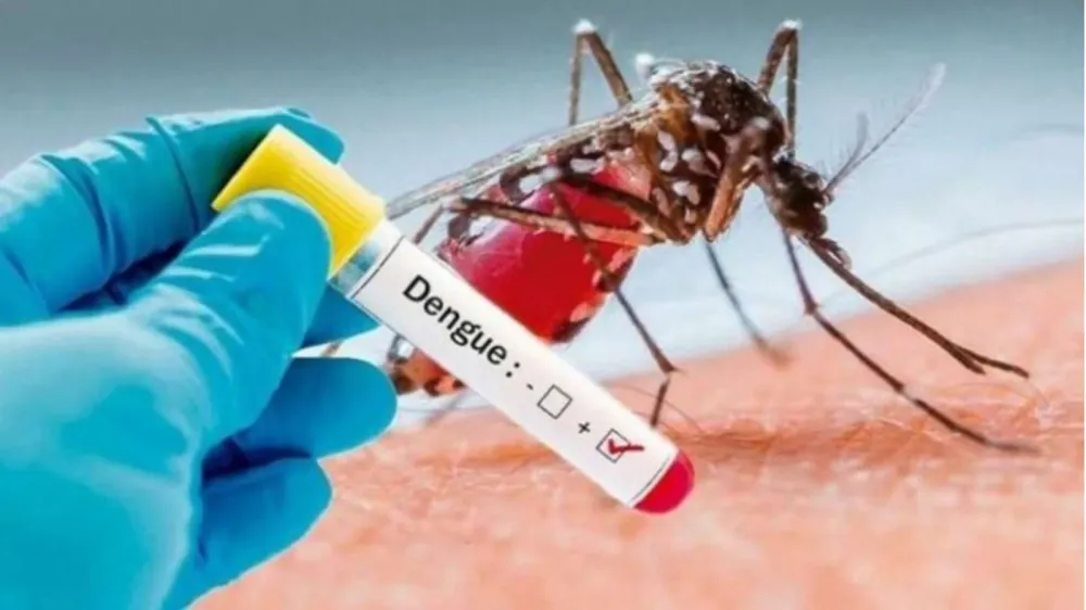 Santander reduce en 47 % los casos de dengue durante 2026 imagen de la publicación
