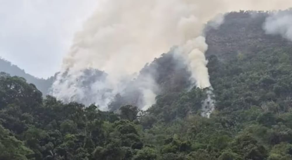 Alerta roja por incendios forestales en varios municipios de Santander imagen de la publicación