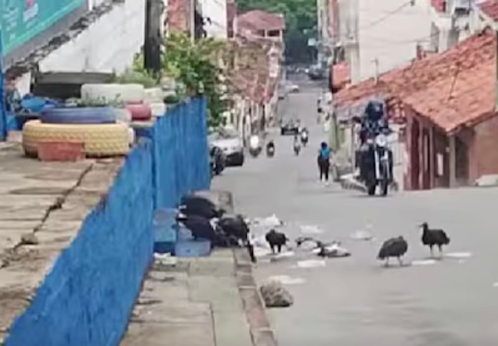 Colegio de San Gil denunció acumulación de basuras imagen de la publicación