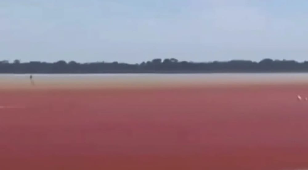 Ciénaga El Llanito se tiñó  de 'rojo sangre' en Barrancabermeja imagen de la publicación