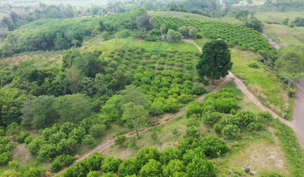 Buscan predios para reforestar el Magdalena Medio con conservación y restauración ecológica imagen de la publicación
