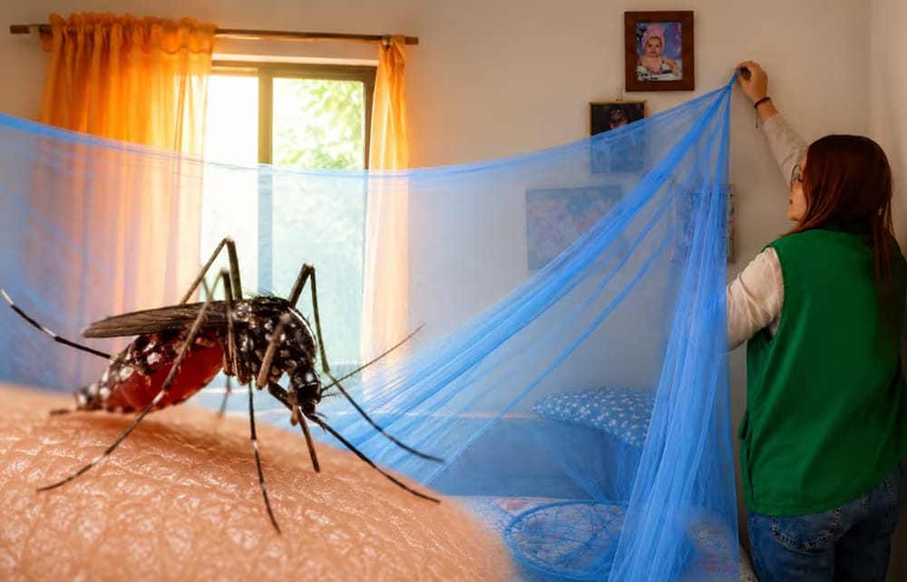 Disminuyen contagios de dengue en Santander pero aún hay un alto número de enfermos imagen de la publicación