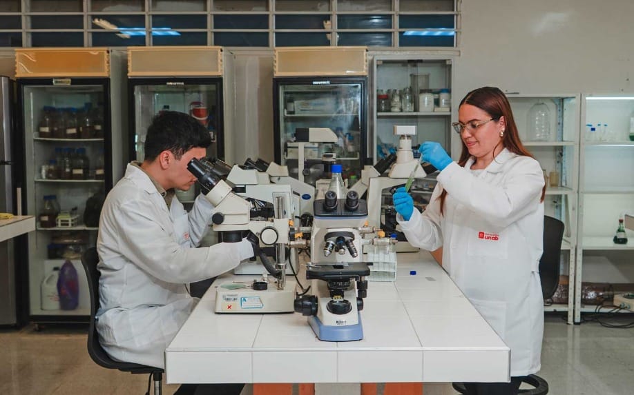 UNAB lanza programa técnico para fortalecer la gestión ambiental en las empresas imagen de la publicación