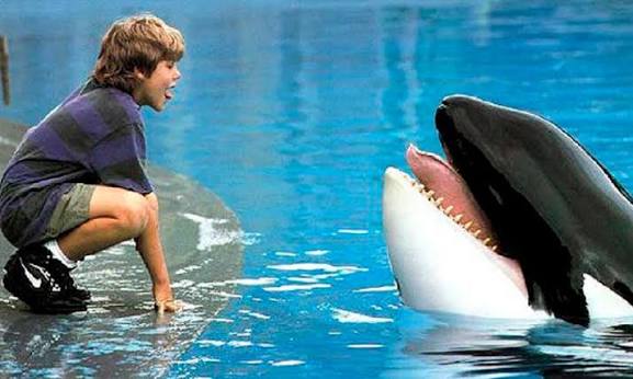 ‘Liberen a Willy’ tendrá una nueva versión cinematográfica imagen de la publicación