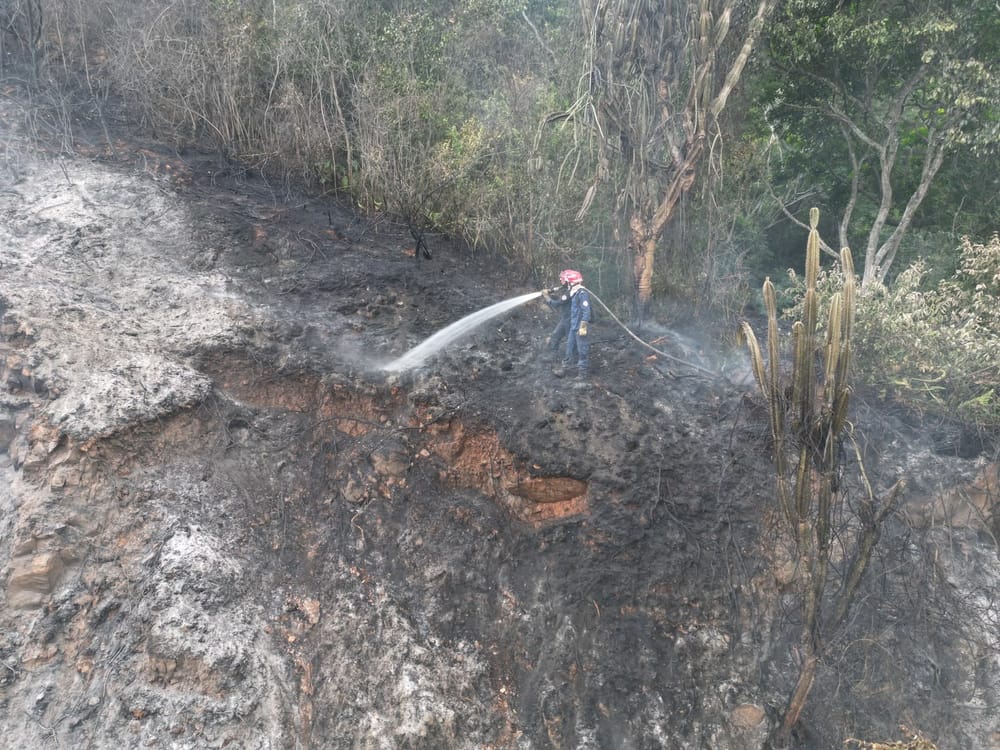 Bomberos de Floridablanca controlaron incendio forestal que amenazaba conjunto residencial en Girón imagen de la publicación