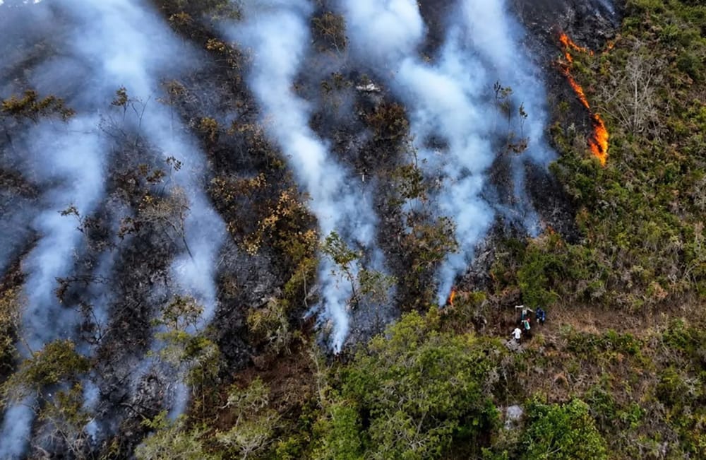 Organismos de socorro completan cuatro días de lucha contra incendio forestal en Charta imagen de la publicación