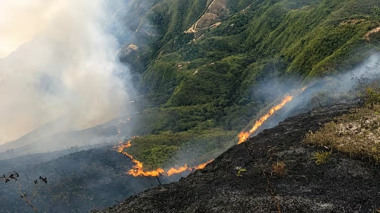 Continúa en llamas zona rural de Mogotes: autoridades trabajan por controlar la emergencia imagen de la publicación