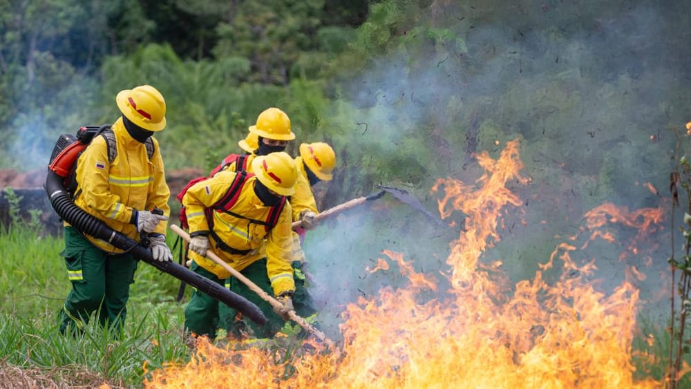 Arde la vegetación en cinco departamentos de Colombia imagen de la publicación