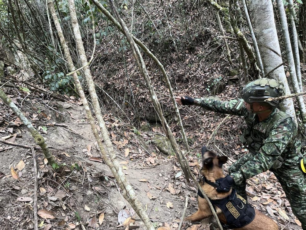 250 kilos de explosivos ocultaba ELN en Charta imagen de la publicación