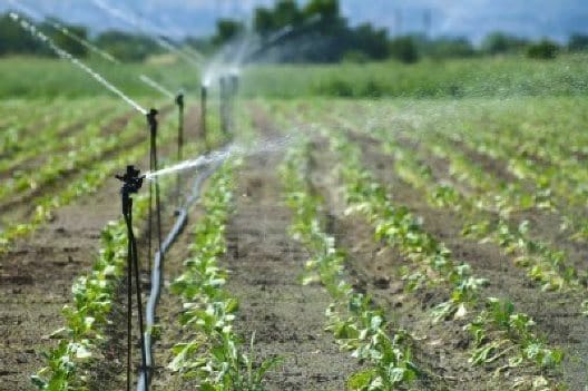 Dineros para los distritos de riego nunca llegaron a los campesinos ¿Qué pasó con la plata? imagen de la publicación