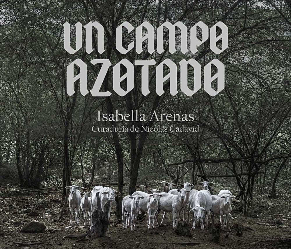 Exposición “Un campo azotado” de  Isabella Arenas en Salas Abiertas imagen de la publicación