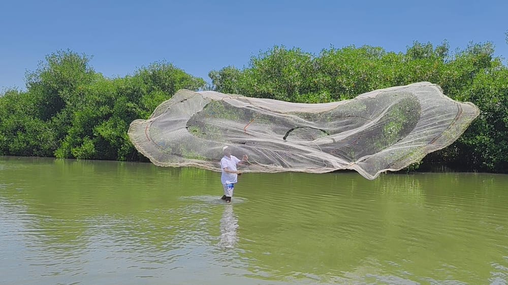 Sector Ambiente tendrá $1,38 billones en 2027 para proteger agua, biodiversidad y comunidades ¿Si alcanzará? imagen de la publicación