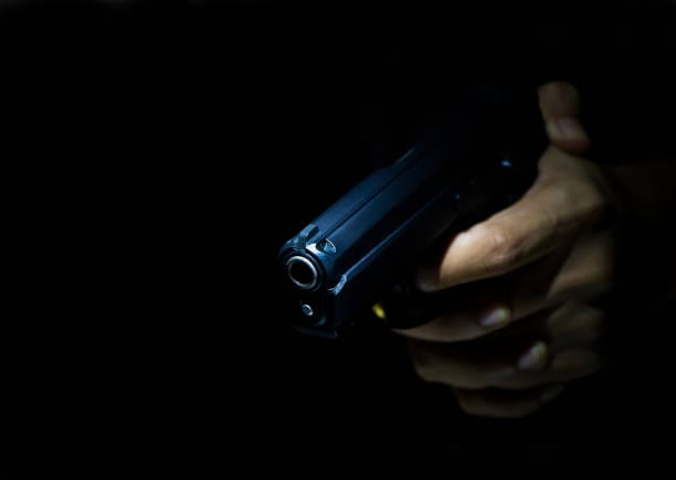 Ya que levantaron la prohibición, ¿no se le antoja comprar un arma? Le contamos precios y modelos comunes imagen de la publicación