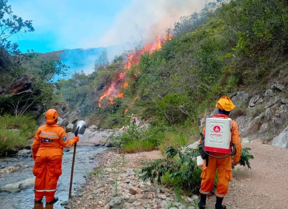 Vigilancia y trabajo especial de la Defensa Civil por incendios forestales en Santander imagen de la publicación