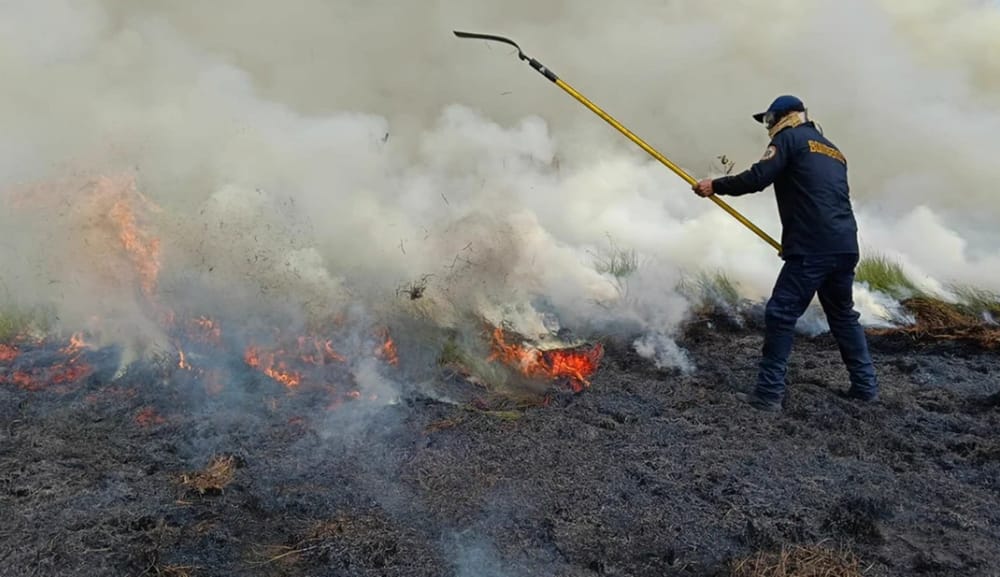 Puerto Parra se suma a municipios afectados por incendios forestales en Santander imagen de la publicación