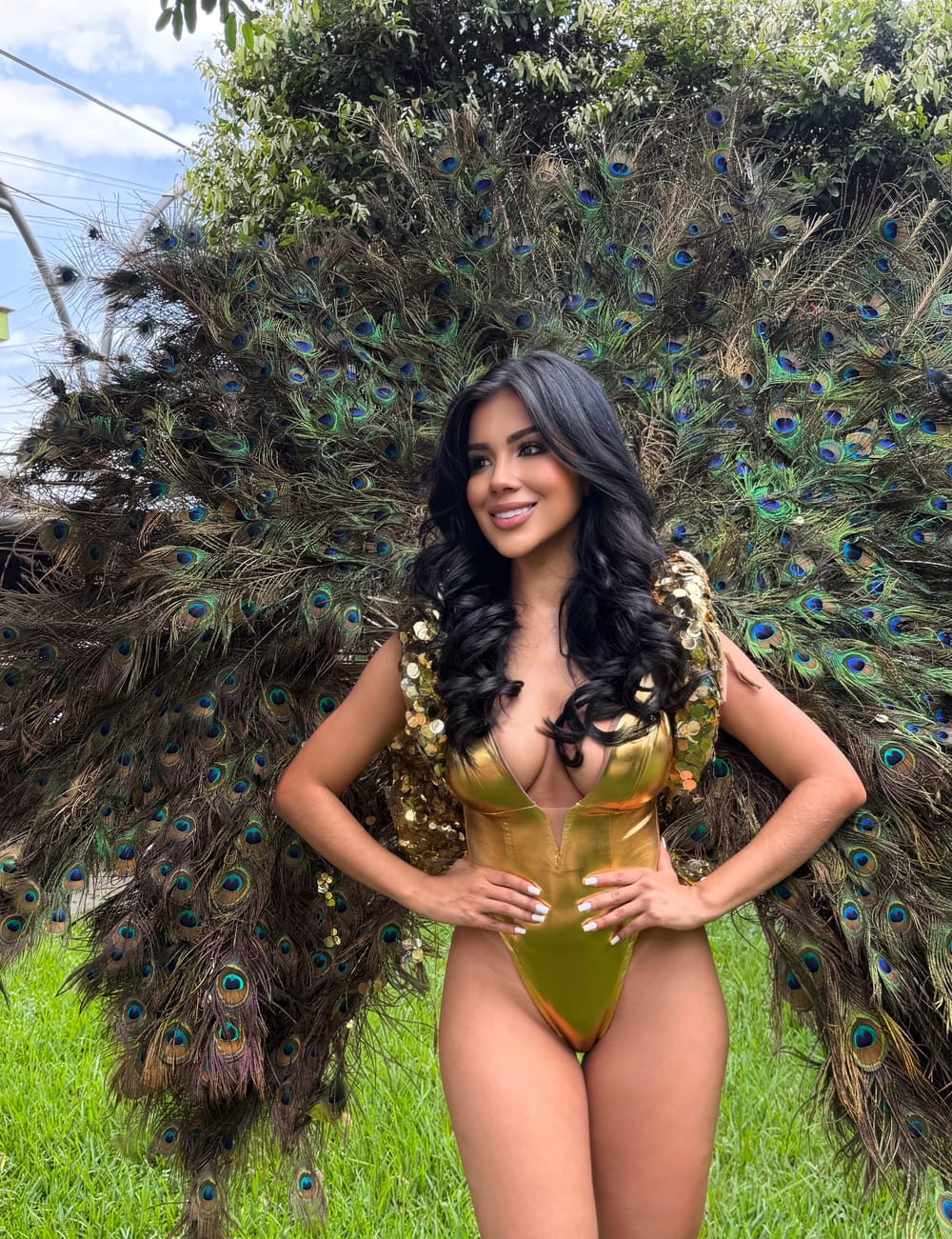 'Ave Fénix Fantasía' en Desfile Picos de Oro imagen de la publicación