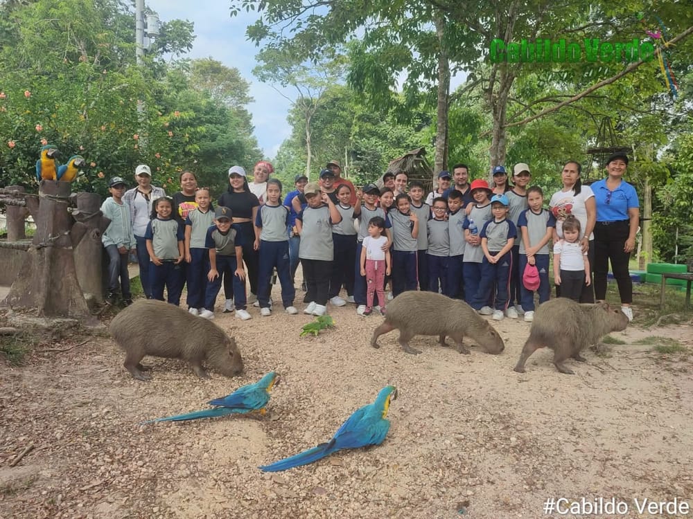 Cabildo Verde de Sabana de Torres, nominado a los Premios Verdes Latinoamérica 2026 imagen de la publicación
