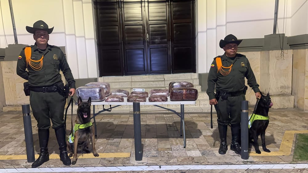 Canino les descubrió la 'yerba' encaletada en cajas imagen de la publicación