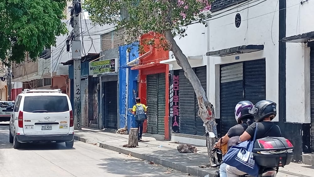 Paro armado paraliza a Santa Marta: incineran buses y ahora queman una tractomula en la Troncal del Caribe imagen de la publicación